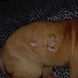 Foto van Whitney