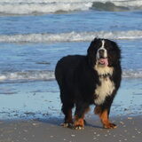 Foto van Anna