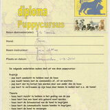 Sam heeft vanavond het puppycursus diploma gehaald