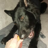 Foto van Tiamo  ^_^  Dyuna