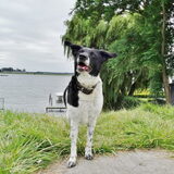 Ah in Zeeland, plekje waar ik zelf ook graag kwam. Helaas is het…
