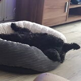 Foto van Annelies met  Sem