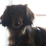 lieve Annieka