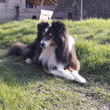 Foto van Kath