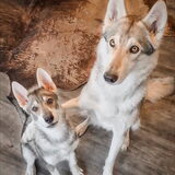 Foto van laura   Diva&Nova