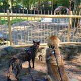 Foto van Britt, Maui & Fanu ~
