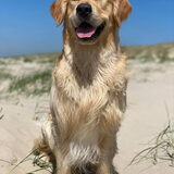 Foto van Suus