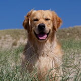 Foto van Suus