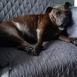 Foto van Elly