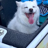 Foto van anja met Bobby(r.i.p. 25-9-25)