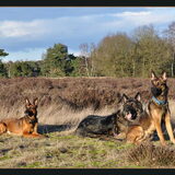 Foto van De Mecheltjes clan