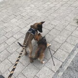 Samen met junior wandelen (eind mei 2021)