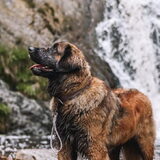 Foto van Britt, Maui & Fanu ~
