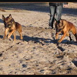 Foto van De Mecheltjes clan
