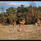 Foto van De Mecheltjes clan