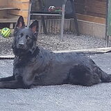 Foto van Tiamo  ^_^  Dyuna