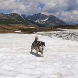 Foto van Alaska's Finest!