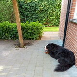 Foto van Anna