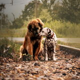 Foto van Britt, Maui & Fanu ~