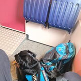 Foto van Heavenly en de hond King (En Marvey en Ginny)