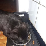 Haar eerste onafhankelijke korrel eten !