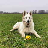 Mooi in haar wintervacht