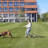 Foto van Laura