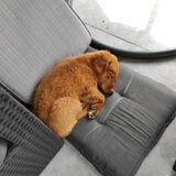 Foto van Wendy