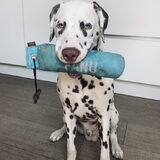 Foto van Britt, Maui & Fanu ~
