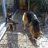 Samen buiten spelen.