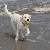 Foto van Sandra Bol