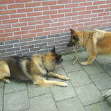 Samen met Sacha aan het touw hangen.