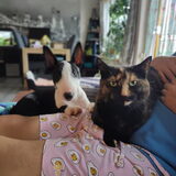 Foto van Nadia & Mila