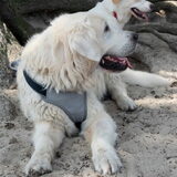 Foto van Sandra Bol