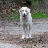 Foto van Sandra Bol