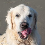 Foto van Sandra Bol