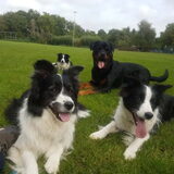 Foto van Shauni  *Sky~Jinx~Sansa~Hypno*