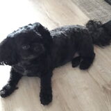 Foto van Annelies met  Sem