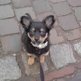 Brutus 24-02-10