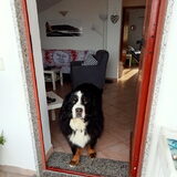 Foto van Anna