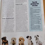 Foto van Loesje