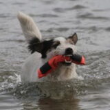 Foto van Heleen