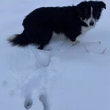 Foto van Jeanine :)