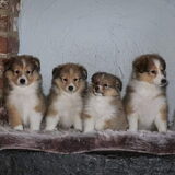 Foto van Kath