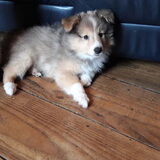 Foto van Kath