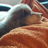 Foto van Kath