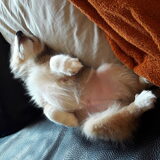 Foto van Kath