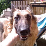 dat is onze dina.