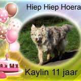 Foto van Danielle, Kyra*Kaylin*, Djaira en Djaidey