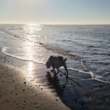 Foto van esther